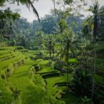Voyage écologique à Bali : que voir ? Que faire ?