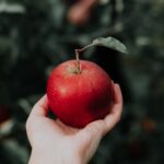 La pomme, source de bien-être