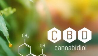Découvrez les variétés de cannabis riches en cannabidiol pour une relaxation sans les effets psychoactifs